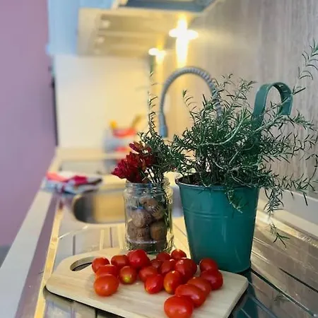 Rose House - * Lugano